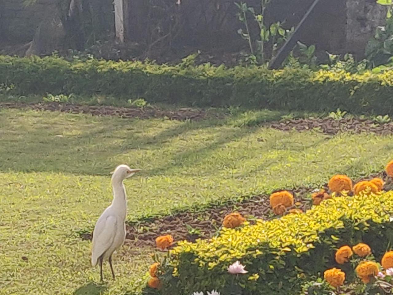 جامو Heritage Homestay المظهر الخارجي الصورة