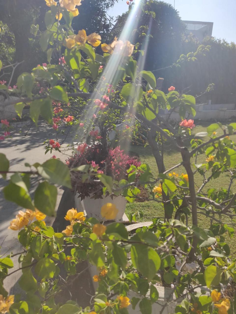 جامو Heritage Homestay المظهر الخارجي الصورة