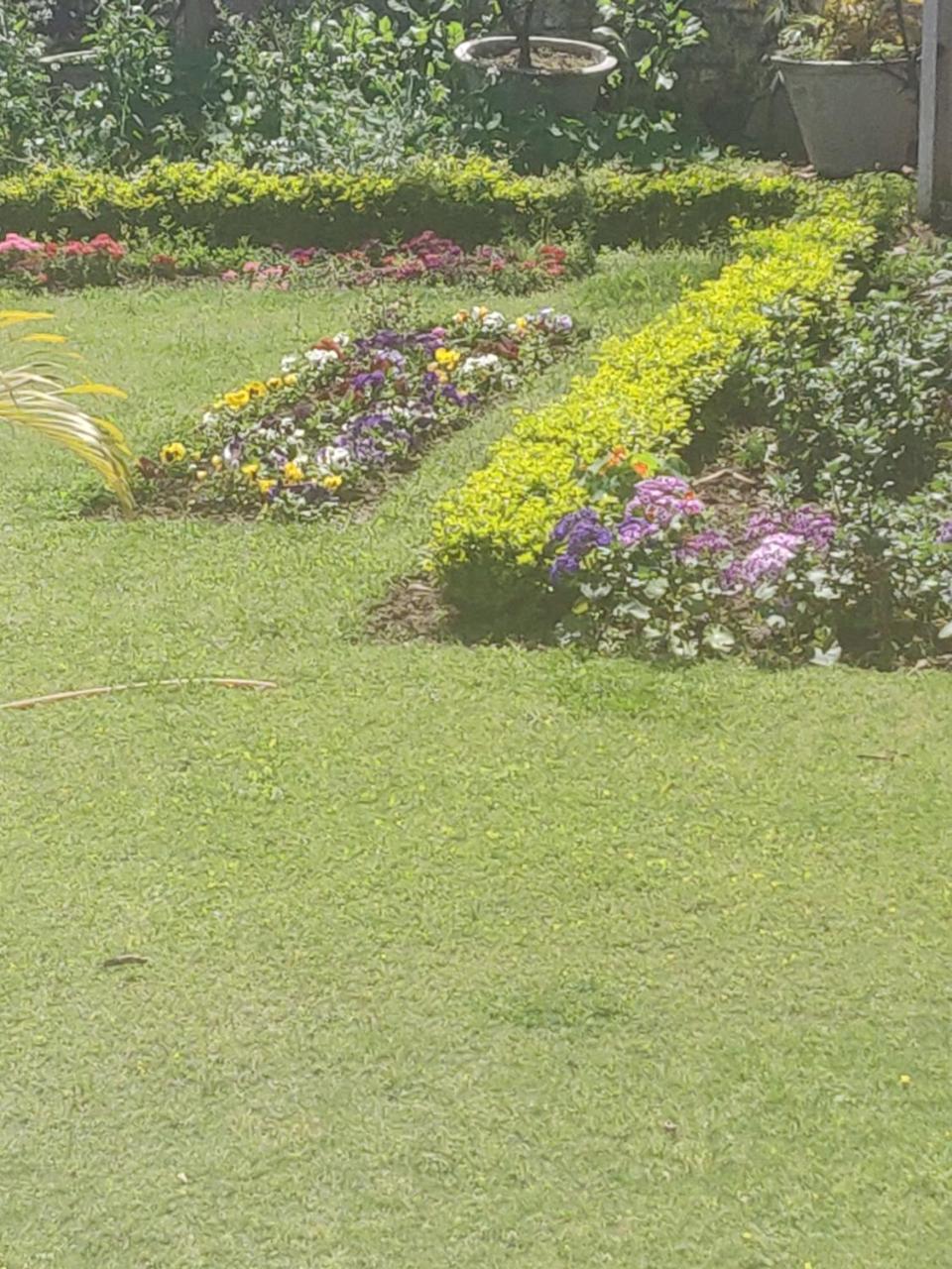 جامو Heritage Homestay المظهر الخارجي الصورة